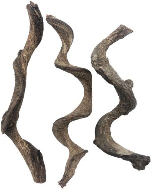 Reptile Decor 3PCS Natural Forest B...