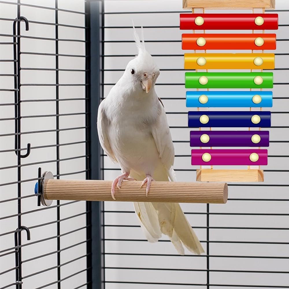 Colorful Bird Xylophone Toy Interactive Training Toy Bird Cage Bell Toy Accessories Music Musical Enrichment Bells for Conure Budgie Cockatiel African Grey Parakeet Finch Parrot Love Birds - Image 5