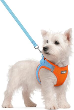 rabbitgoo Dog Harness Small Sized a...