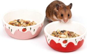 Wontee Hamster Food Bowl 2 Pack Cer...