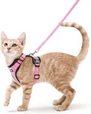 rabbitgoo Cat Harness and Leash Set...