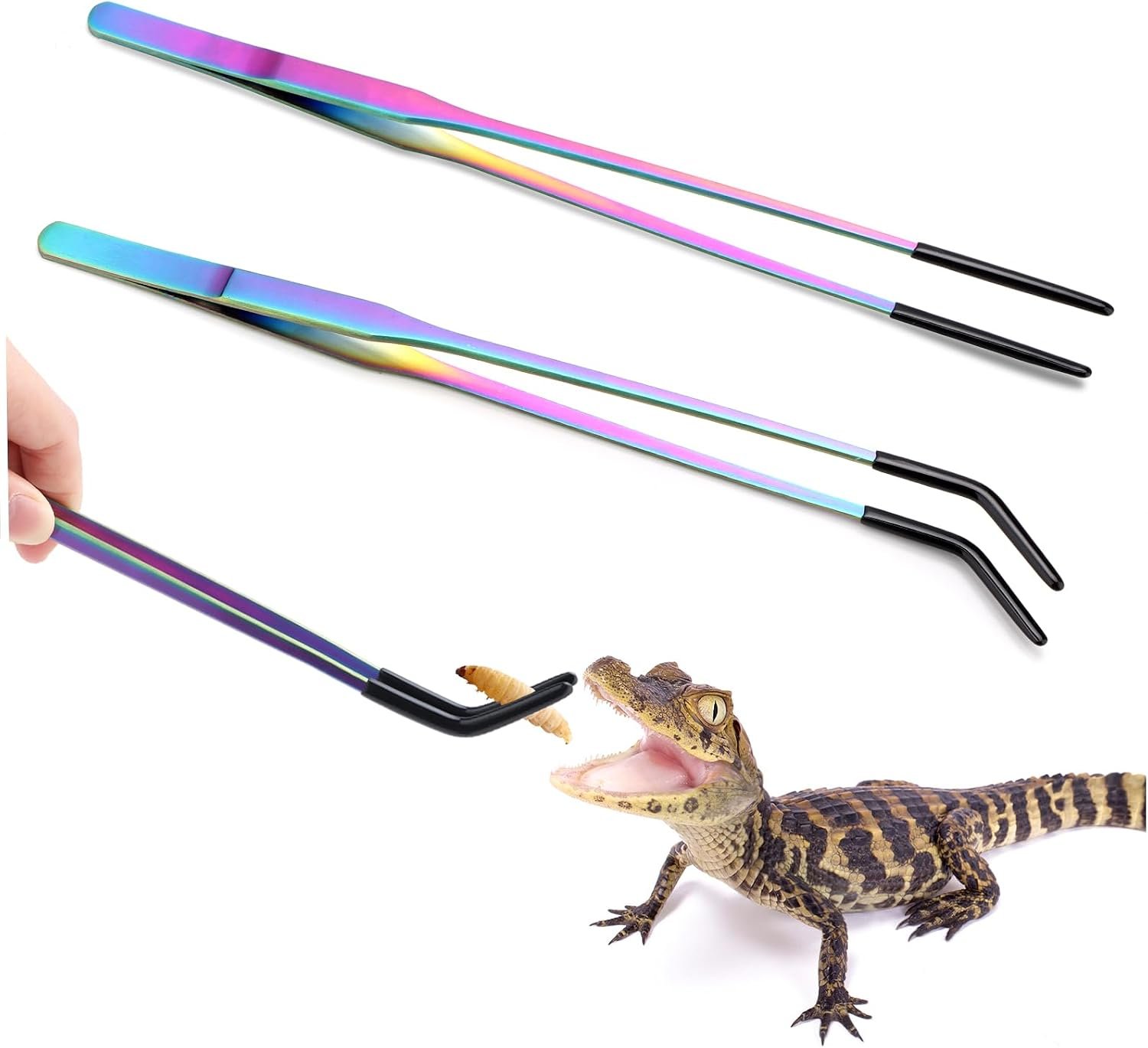 2PCS Stainless Steel Reptile Feedin...