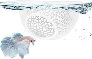 Floating Betta Hide & Shrimp C...