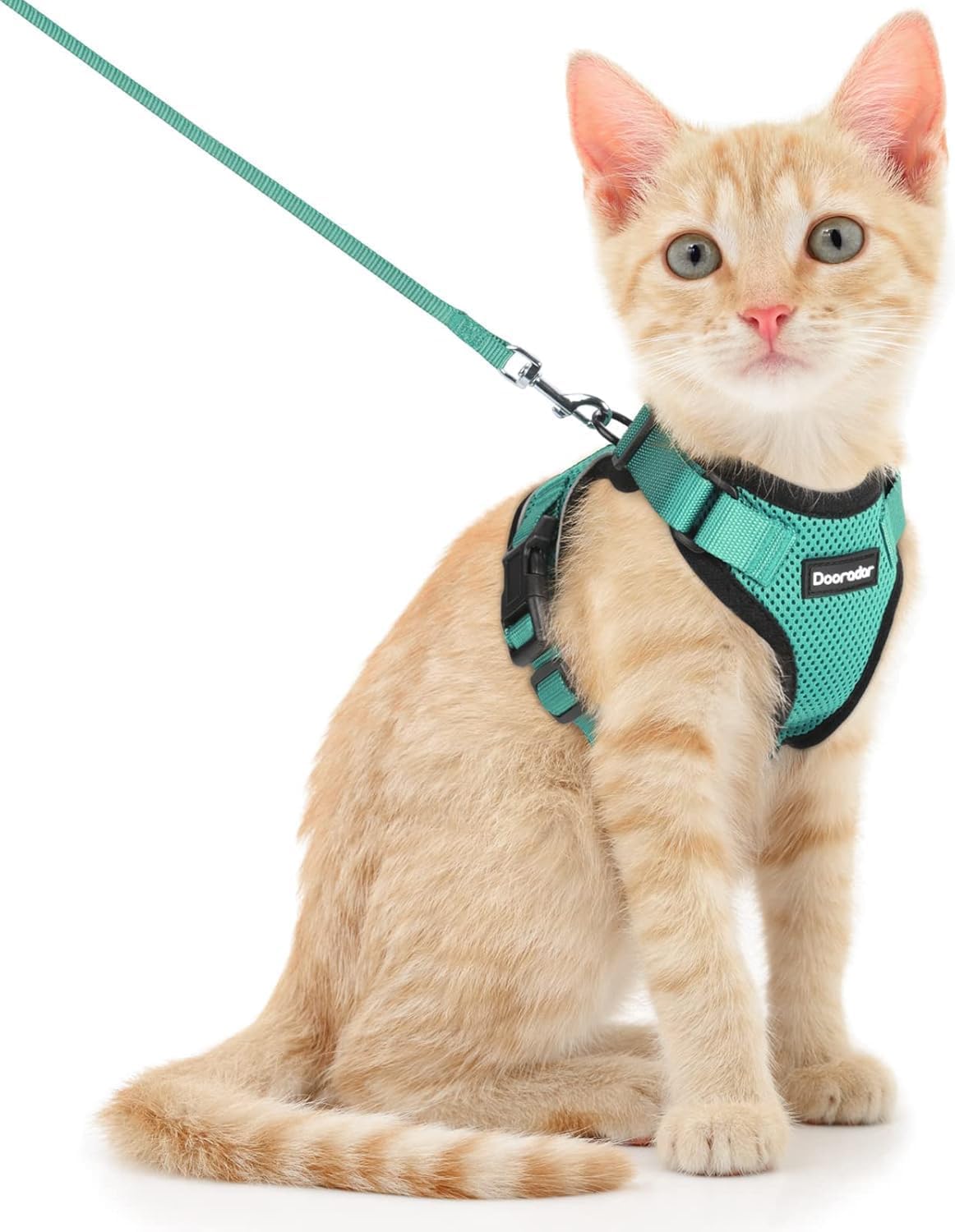 Dooradar Cat Harness and Leash Set, Adjustable and Escape Proof, Xs | Easy Fit, Snap Buckles, Soft Breathable Vest, Sturdy Clip, Reflective Strips, for Small & Average Cat Walks, Green
