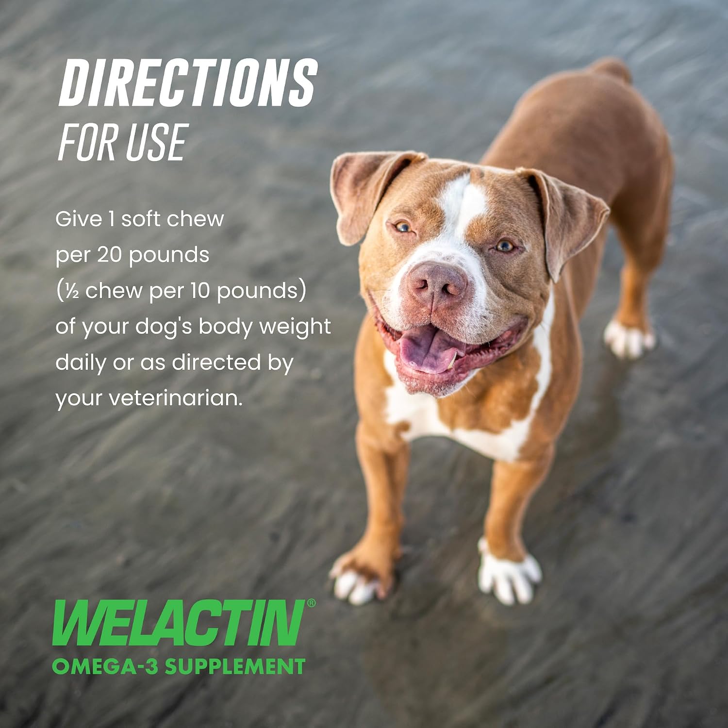 Nutramax Welactin Omega 3 Fish Oil for Dogs, Skin and Coat Health Supplement, Plus Immune and Overall Health, Premium Omega 3 Fatty Acids, Multivitamin For Dogs, Soft Chews, 60 Count - Image 7