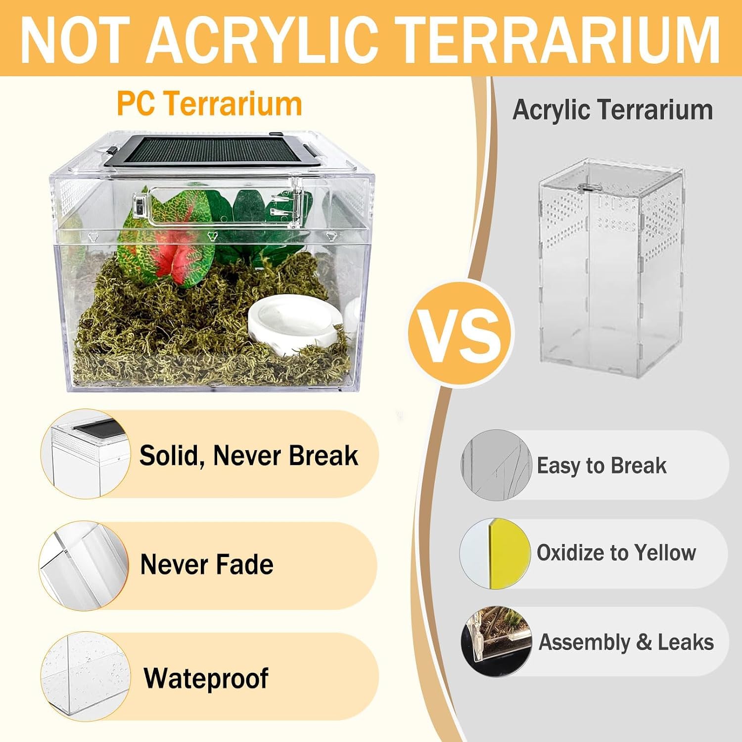 Reptile Terrarium, Jumping Spider Enclosure Starter Kit, Leopard Gecko Habitat Container, 8"x8"x6"Reptile Tank for Tarantula, Hermit Crab, Insect, Fish, Frog, Small Bearded Dragon, Lizard - Image 5