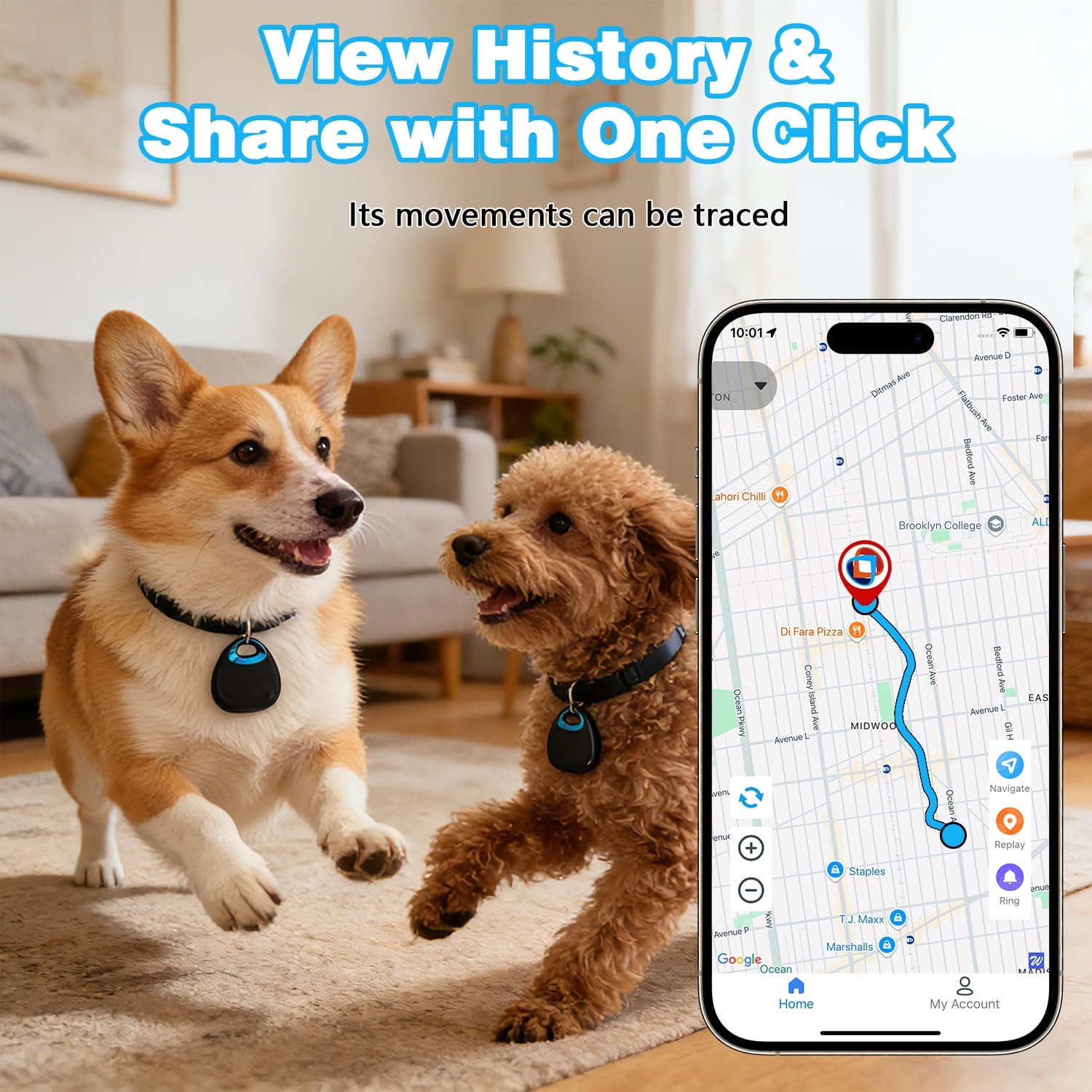 GPS Tracker for Dogs & Cats – Waterproof, Lightweight, Mini Real-Time Pet Locator with 1-Year Battery, No Subscription or SIM Required, Track History, iOS & Android Compatible Now 2026 - Image 4