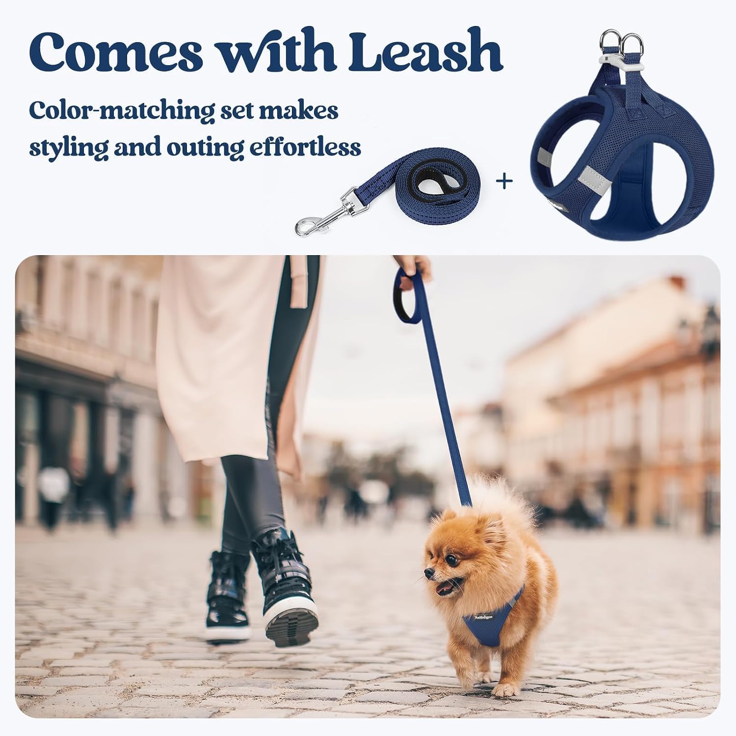 rabbitgoo Dog Harness Small Sized and Leash Set, Step in Soft Light Puppy Vest, Breathable Mesh Pet Harness, Reflective for Safe Outdoor Walking, Navy Blue S - Image 5