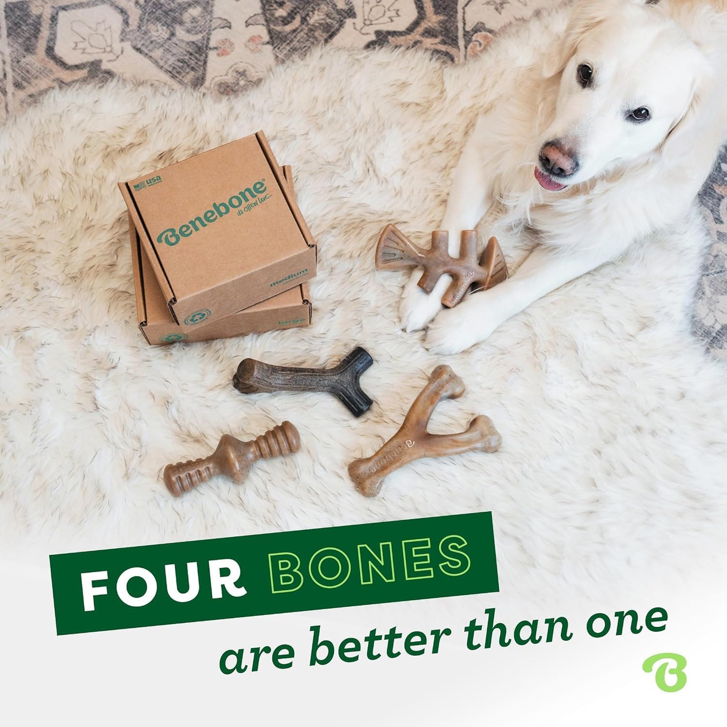 Benebone Medium 4-Pack Dog Toys for Aggressive Chewers – Under 60 lbs - Image 5