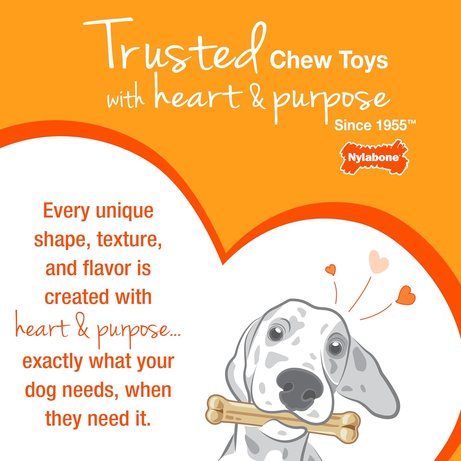 Nylabone Puppy Chew Toy & Treat Bundle, Small, 6 Count | 5 puppy toys & 1 natural treat, chicken & bacon flavors, soothing teething toys for puppies, puppy enrichment, up to 25 lbs - Image 14