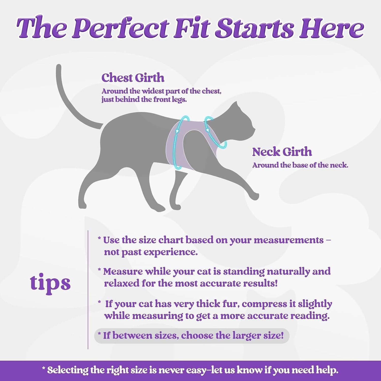 rabbitgoo Cat Harness and Leash Set, Step-in Soft Vest, Purple | Escape Proof, Lightweight, Easy-on & Adjustable, Hook & Loop with Buckle, Reflective, for Kittens & Small Cats Walks, S - Image 2