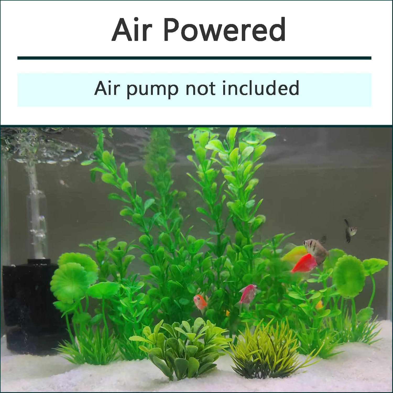 AQUANEAT 3 Pack Aquarium Bio Sponge Filter Breeding Fry Betta Shrimp Nano Fish Tank (Small up to 10Gal) - Image 5