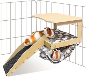 Guinea Pig Hideout，Natural Wood R...
