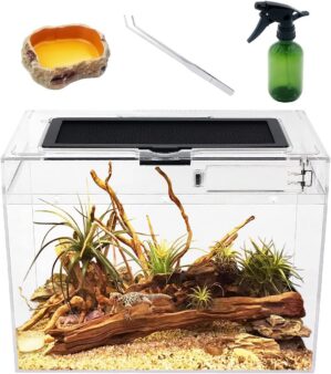 Reptile Growth Mini Reptile Terrari...