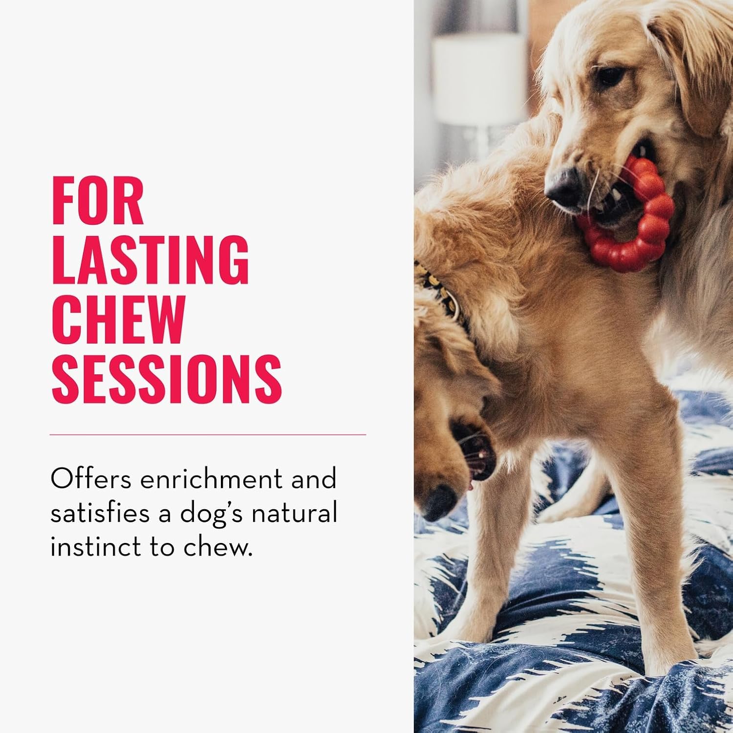 KONG Ring - Natural Rubber Ring Toy for Healthy Chewing Habits - Chew Toy Supports Dog Dental Health - Dog Toy Supports Instincts During Playtime - for Small/Medium Dogs - Image 3