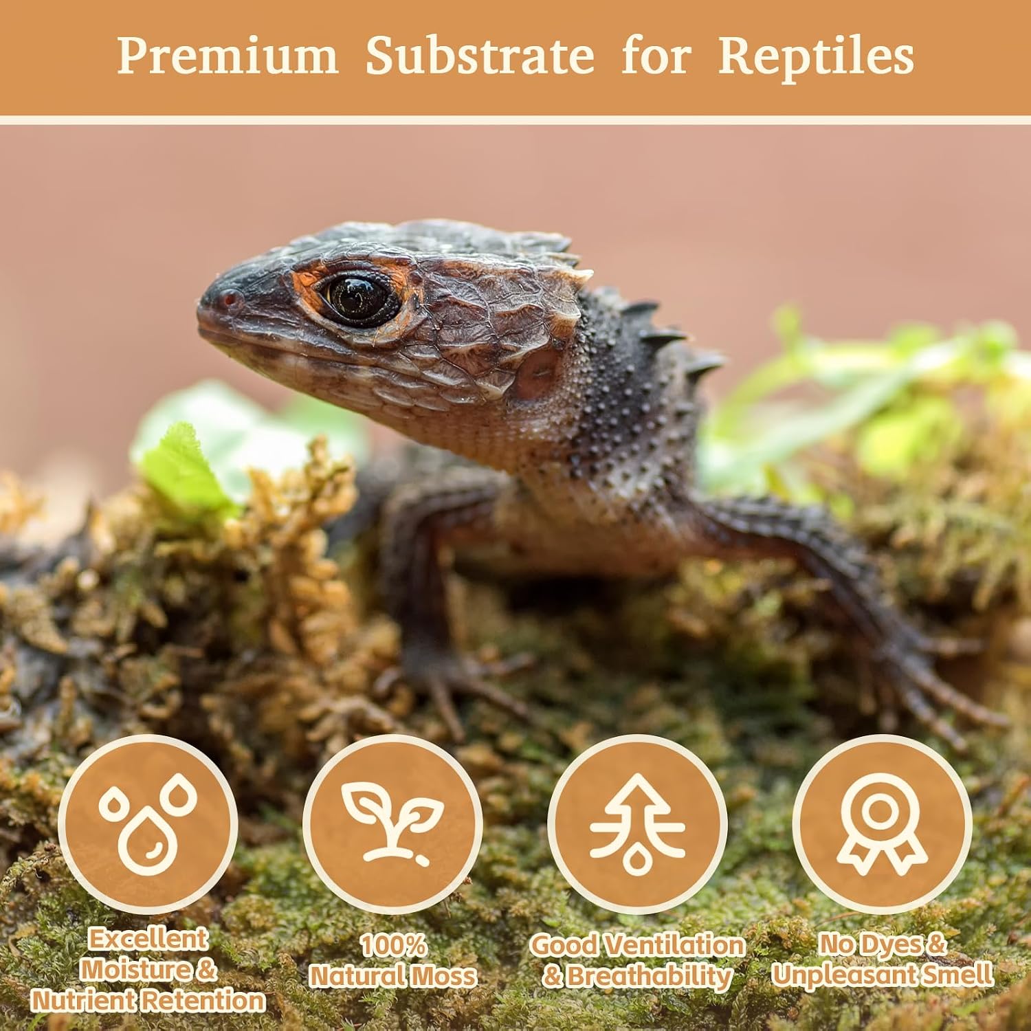 Riare 50QT Natural Sphagnum Moss for Reptiles 2.2LB Terrarium Reptiles Moss | Dried Terrarium Moss Bedding for Snakes Turtles Frogs Geckos Ball Pythons Lepard Gecko Lizards Bearded Dragon & Humid Hides - Image 3