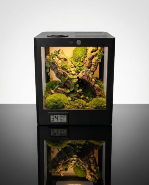 Smart Jumping Spider Terrarium with...