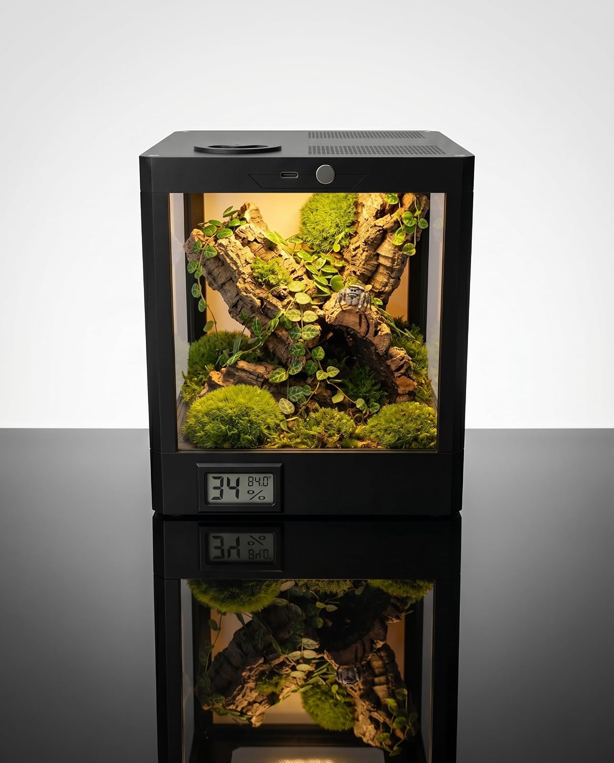 Smart Jumping Spider Terrarium with LED Light & Temp Humidity Monitor – Micro-Jungle Reptile Enclosure, Vertical Desktop Rainforest Ecosystem Display Decor
