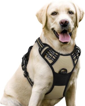 rabbitgoo Dog Harness, No Pull for ...