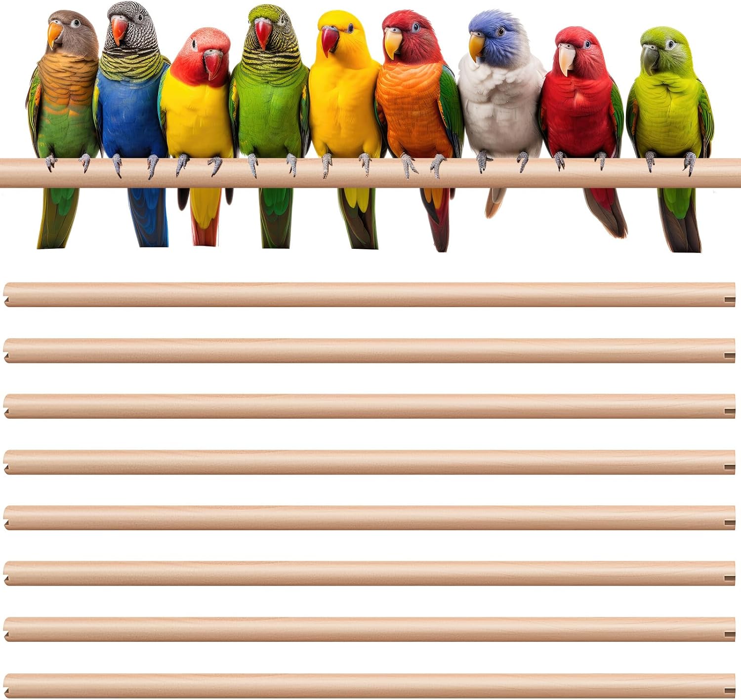 Sintuff 8 Pcs Bird Perches for Cage Accessories, Wooden Perch Rods Replacement with Double Head Slots, 0.6 Inch Diameter Natural Wood Stand for Parrot Macaw Cockatoo Parakeet (18 Inches)
