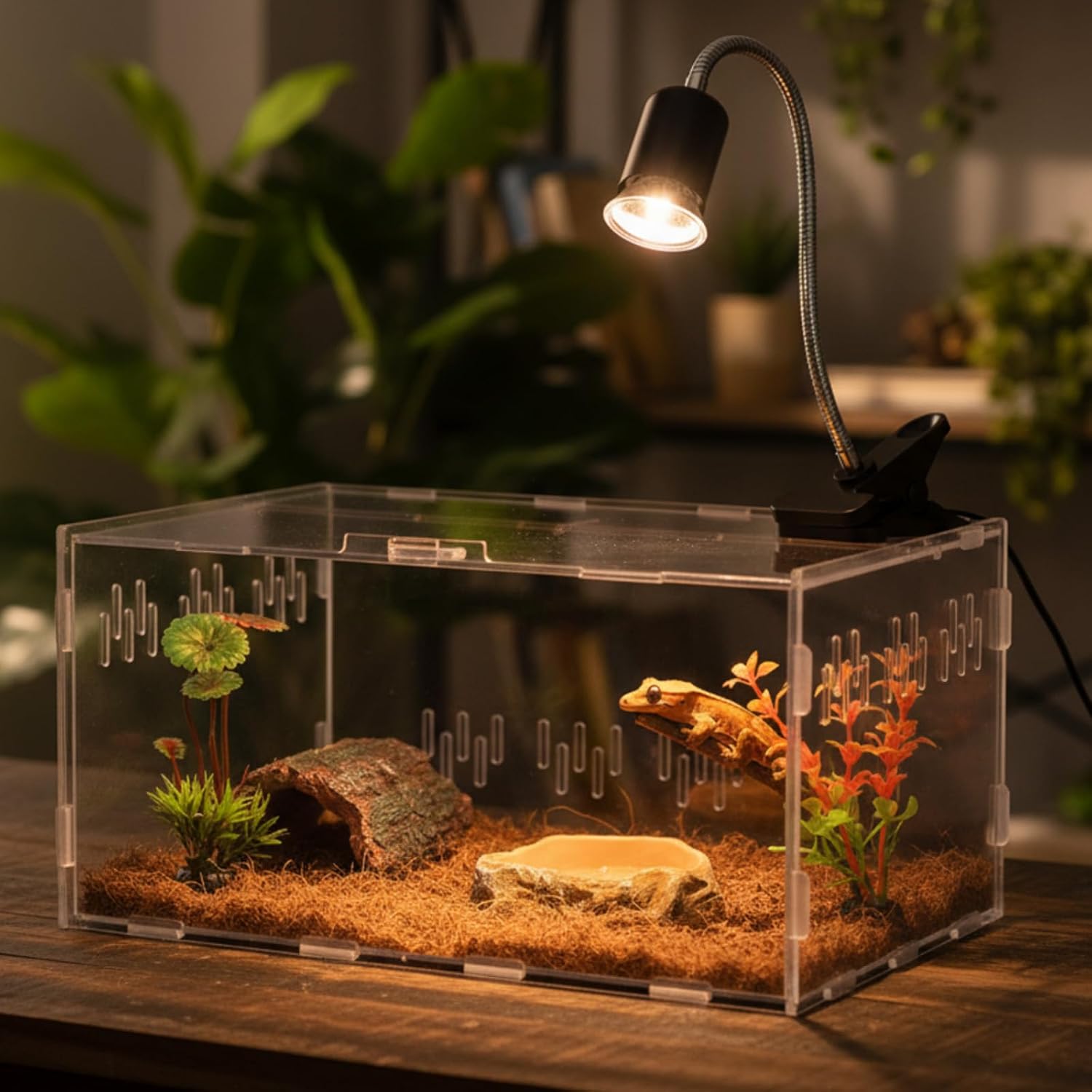 Kathfly 13 Pcs Mini Reptile Terrarium Starter Kits, 12x8x6'' Insect Amphibians Reptile Tank Insect Habitat Cage Acrylic Tank Hidden Shell Heat Lamp Hammock and Other Accessories for Fish Turtle Spider - Image 6