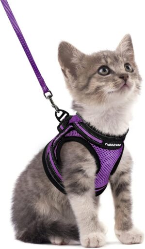rabbitgoo Cat Harness and Leash Set...