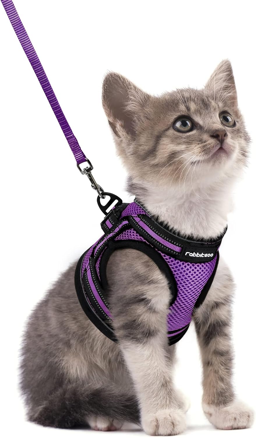 rabbitgoo Cat Harness and Leash Set, Step-in Soft Vest, Purple | Escape Proof, Lightweight, Easy-on & Adjustable, Hook & Loop with Buckle, Reflective, for Kittens & Small Cats Walks, S