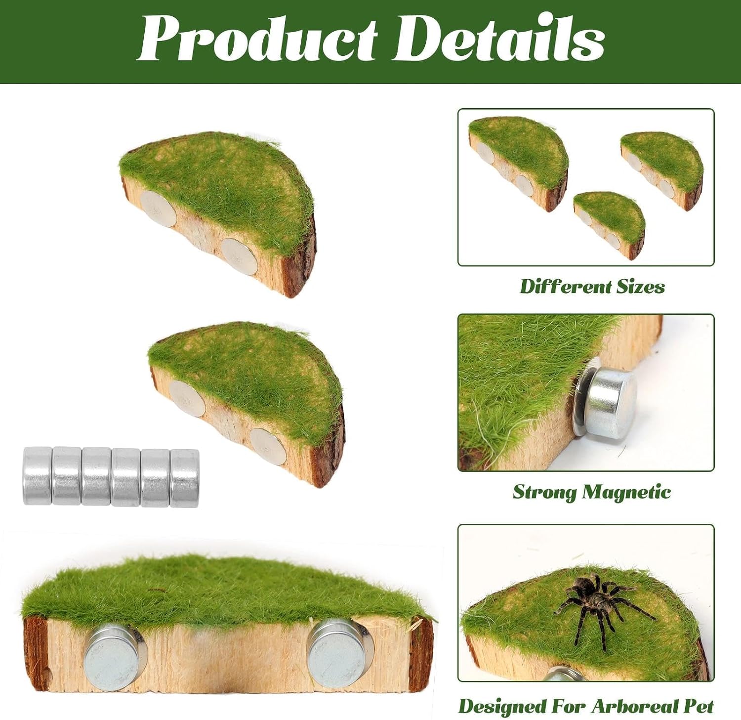Jumping Spider Habitat Kit, Green Moss Hideout Cave and 3 Pcs Resting Feeding Platforms, Suction Cup Magnet Terrarium Decor for Jumping Spider Small Reptiles - Image 3