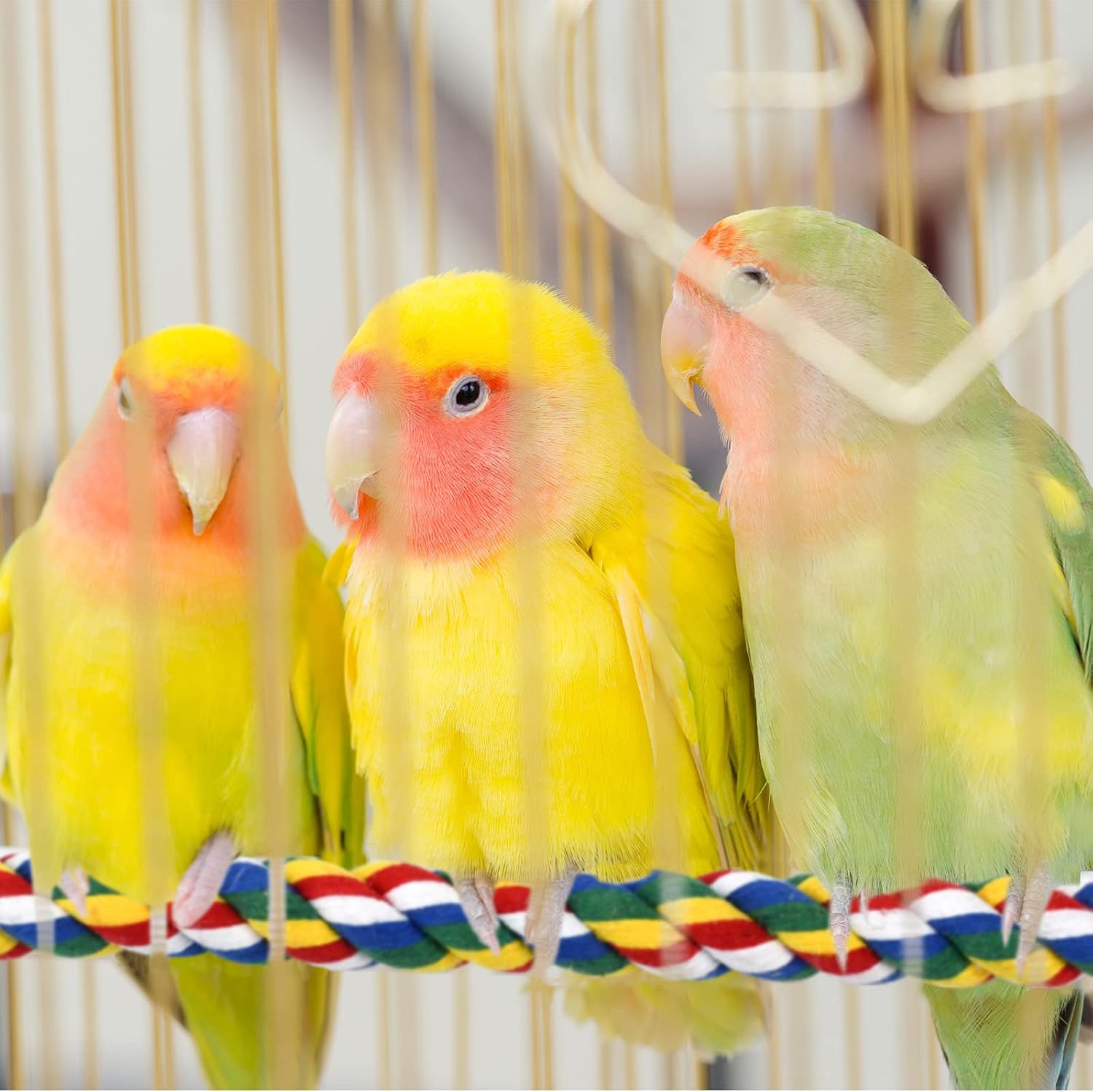 Bird Rope Perches for Parrots, Cockatiels, Parakeets, Budgie Cages Comfy Birds Colorful Rope Toy (41inch Metal nut) - Image 2
