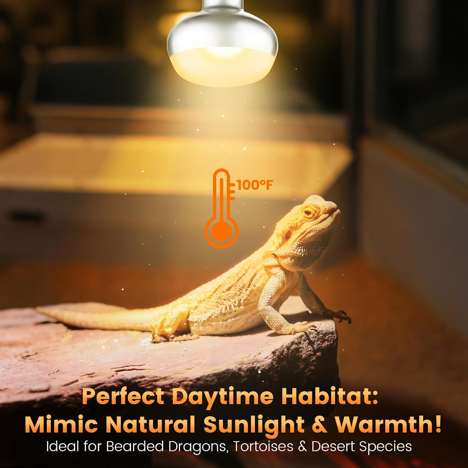 REPTITRIP Dual Reptile Light Fixture with 100W Daytime Heat Bulb & 100W Nighttime Ceramic Heat Emitter, 2 Independent Switches, Reptile Heat Lamp Combo Pack - No UVB - Image 8