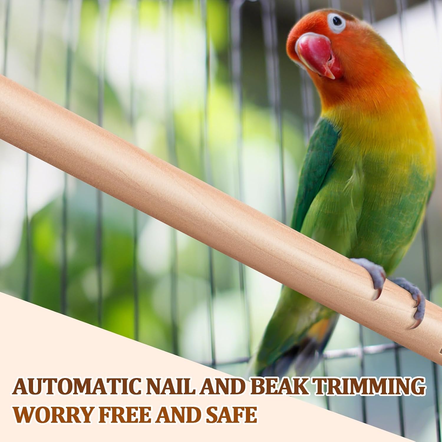 Sintuff 8 Pcs Bird Perches for Cage Accessories, Wooden Perch Rods Replacement with Double Head Slots, 0.6 Inch Diameter Natural Wood Stand for Parrot Macaw Cockatoo Parakeet (18 Inches) - Image 5