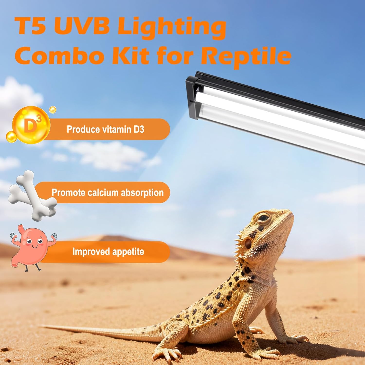 T5 UVB Reptile Light Fixture Combo Kit 8W 10.0 – Complete HO UVB Light for Reptiles with 12.44" Terrarium Hood, Desert UVB Bulb for Bearded Dragon Gecko Tortoise Lizard – Easy to Install and Use - Image 2