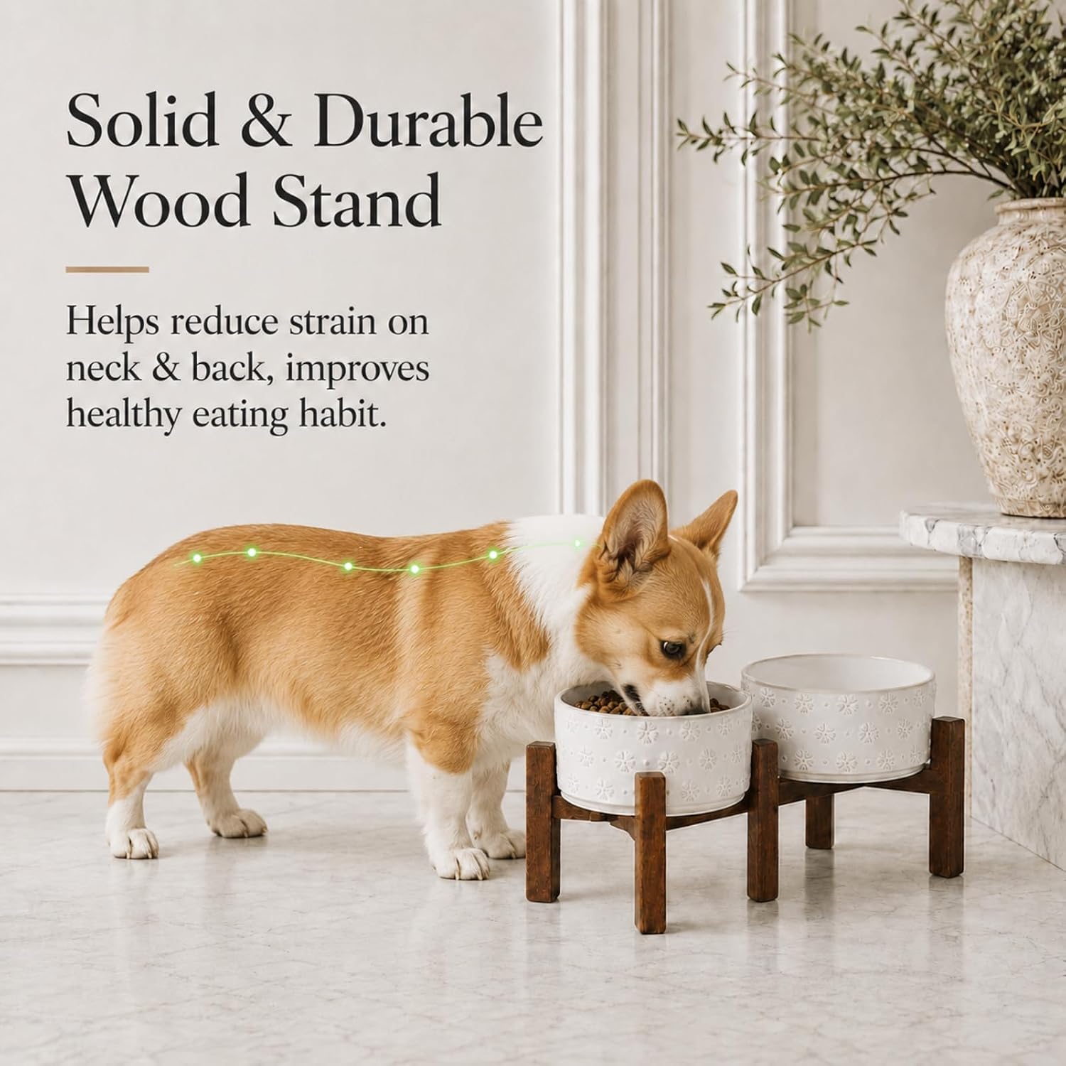 Havniva 6.1" Elevated Dog Bowls Ceramic Raised Dog Bowl with Non-Slip Stand (Acacia Wood) Two Height Options, Dog Food & Water Bowl for Small & Medium Breed Dogs - 3.4 Cups 27 oz - Image 5