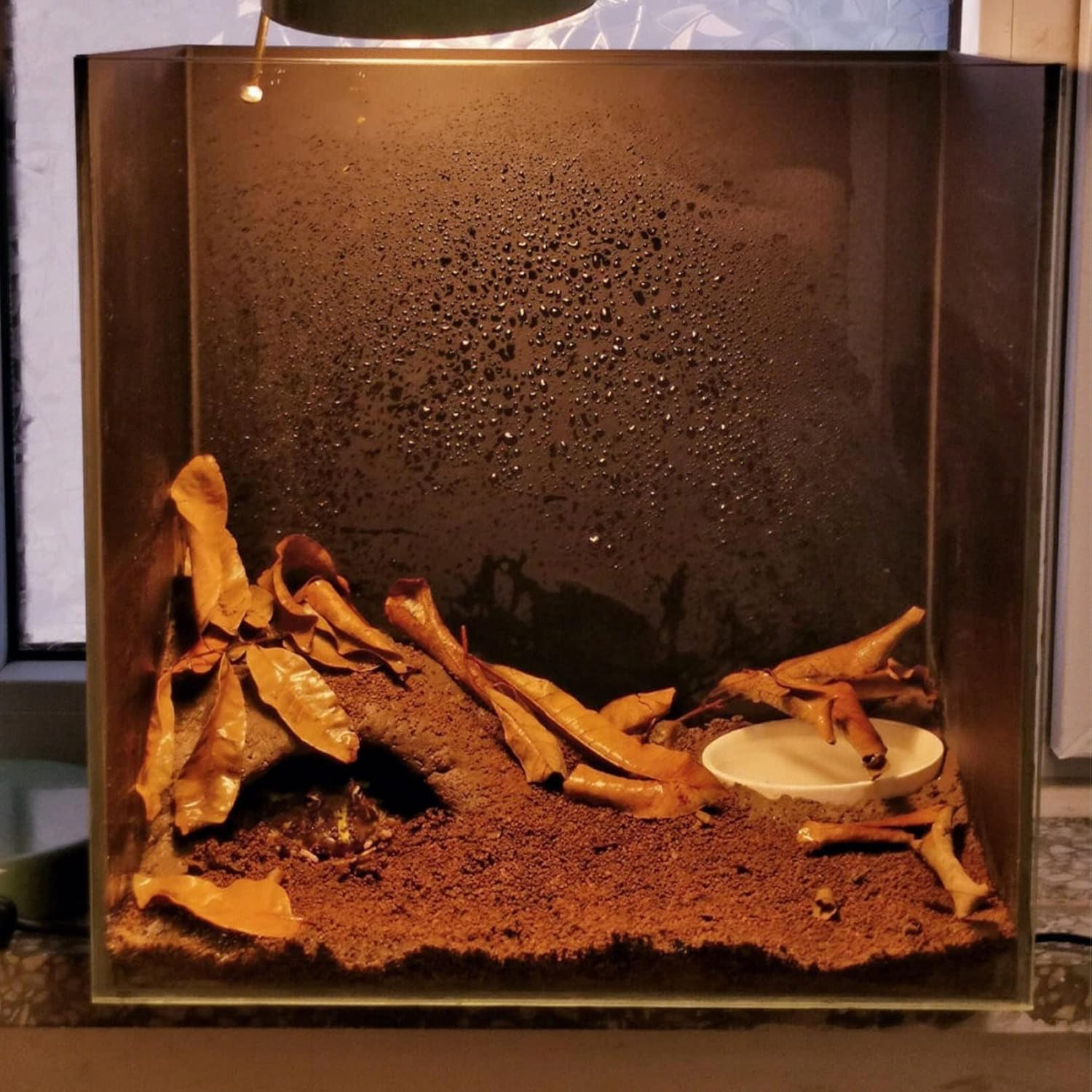 BNOSDM Reptile Soil Substrate Fluffy Small-Strand Reptile Substrate and Snake Bedding Clean Natural Terrarium Bedding for Lizards Snakes Tortoises Tarantulas - Image 6