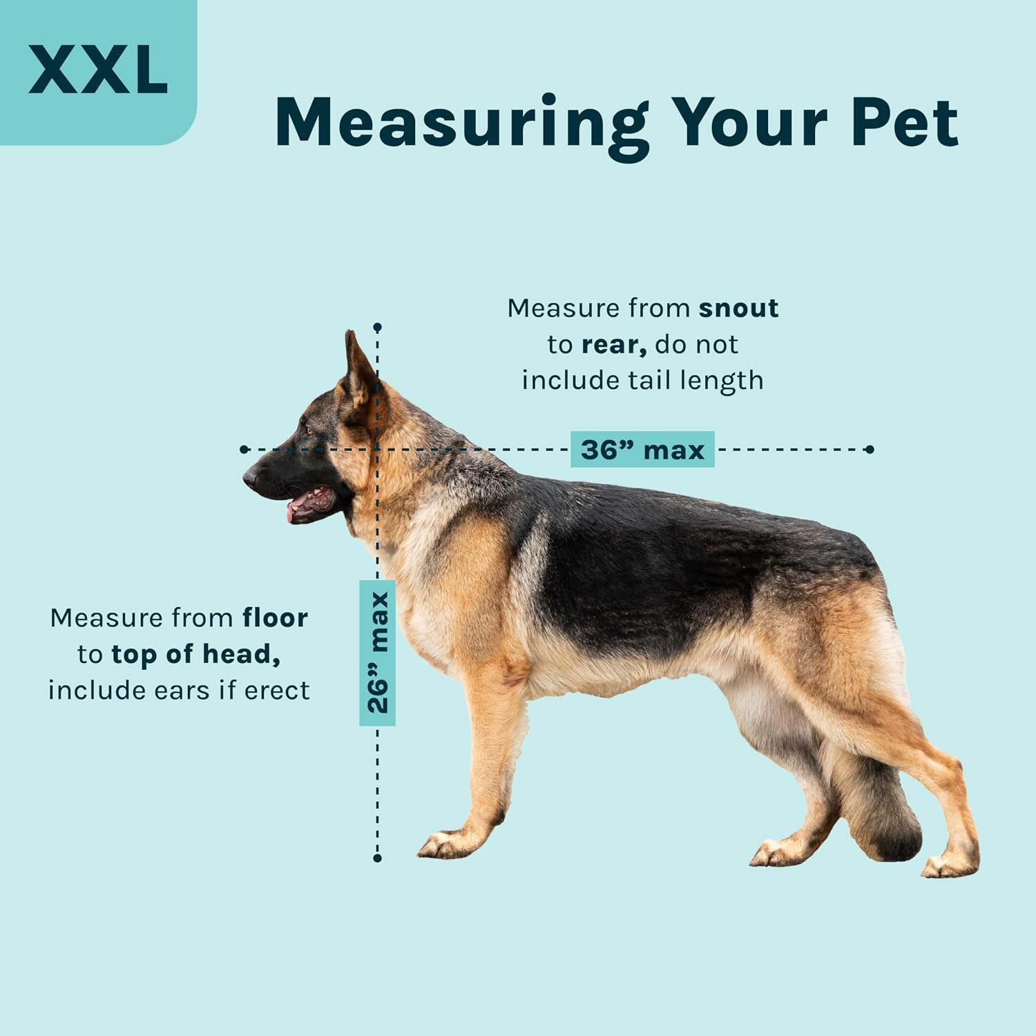 SportPet Airline Compliant XX-LARGE 39" Travel Dog Kennel-Durable Plastic Airline Pet Carrier w/ Removable Wheels & Food Bowls, Collapsible Indoor/Outdoor Dog Kennel, Dogs up to 36"L & 27"H-Cream/Gray - Image 11