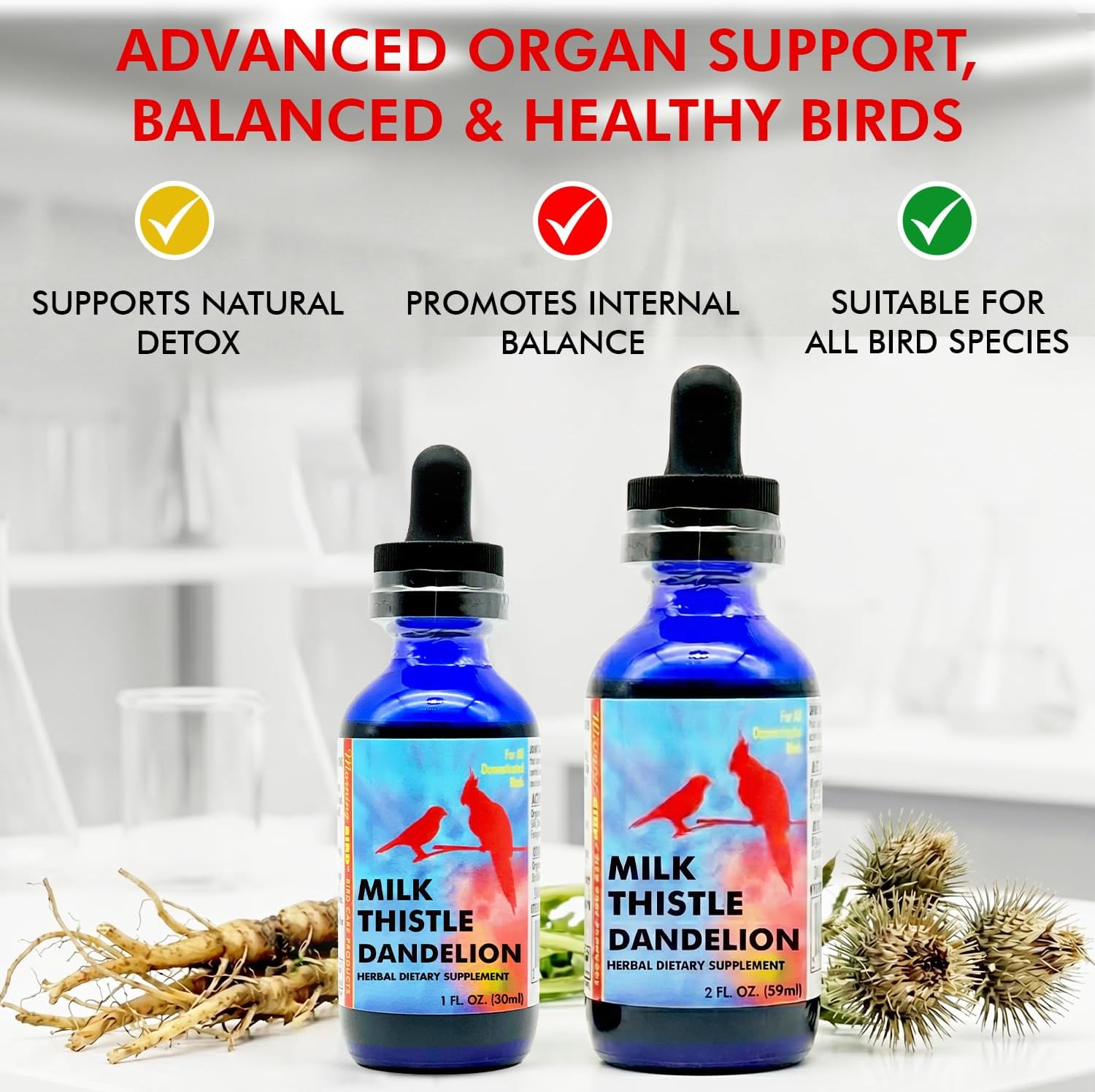 Milk Thistle & Dandelion Extract 1 fl oz – Organic Herbal Supplement for Birds – Supports Liver Health & Natural Detox – Suitable for All Bird Species | All Natural Herbal Supplement Supporting Liver Cleanse and Health – Natural Detox – Suitable for All Bird Species - Image 7
