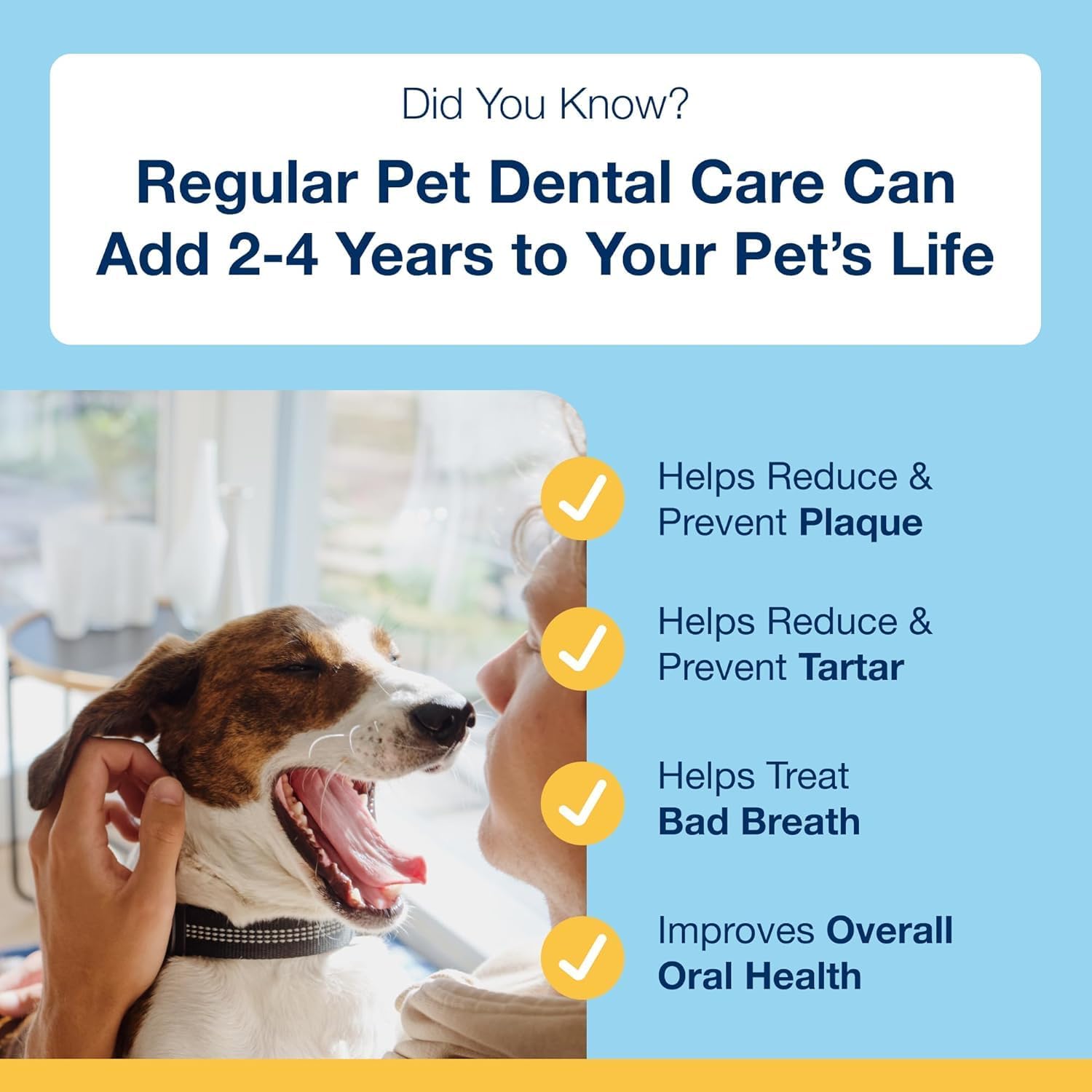 Proden PlaqueOff Dental Care for Dogs and Cats, 60gm | VOHC Accepted Dental Powder for Pet Oral Care - Supports Fresher Breath and Dental Hygiene - 100% Natural Kelp Formula - Image 3