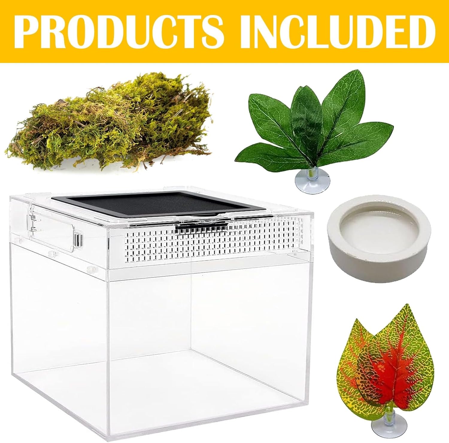 Reptile Terrarium, Jumping Spider Enclosure Starter Kit, Leopard Gecko Habitat Container, 8"x8"x6"Reptile Tank for Tarantula, Hermit Crab, Insect, Fish, Frog, Small Bearded Dragon, Lizard - Image 6