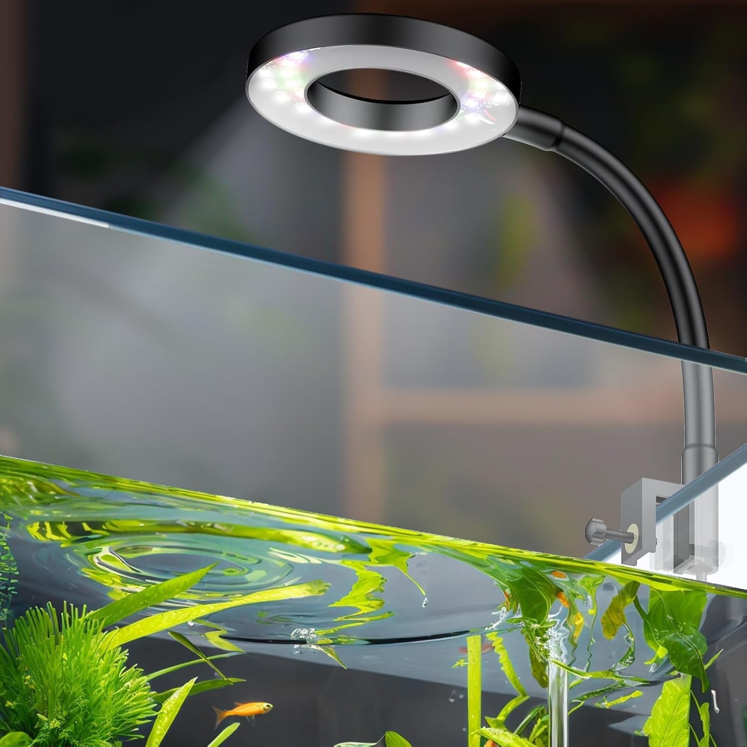 Pawfly 6 W LED Aquarium Light for 1...