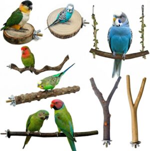 8PCS Bird Perches for Cage, Natural...