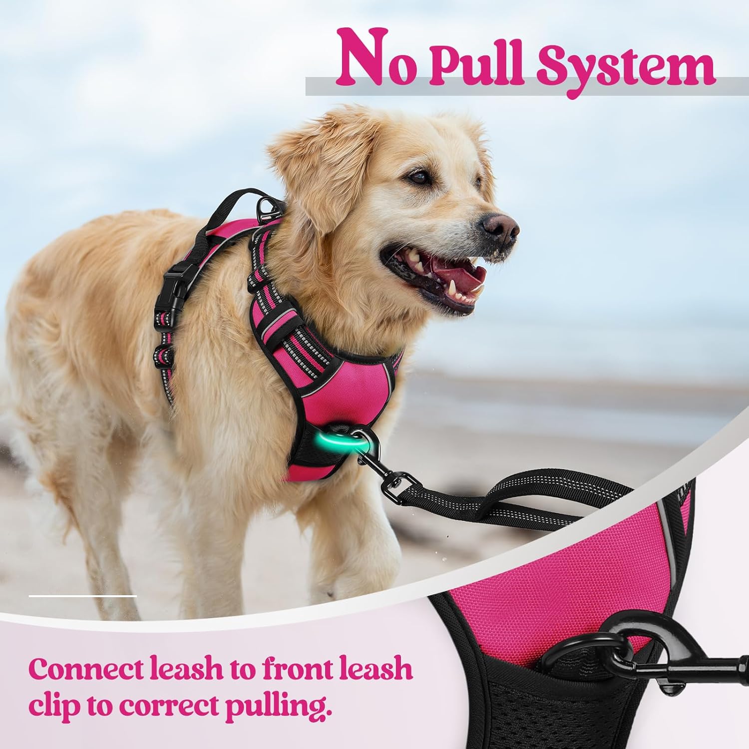 rabbitgoo Dog Harness No Pull with 2 Leash Clips, Adjustable Soft Padded, Reflective Oxford No Choke Pet Vest with Easy Control Handle for Large Dogs, Hot Pink, L - Image 5