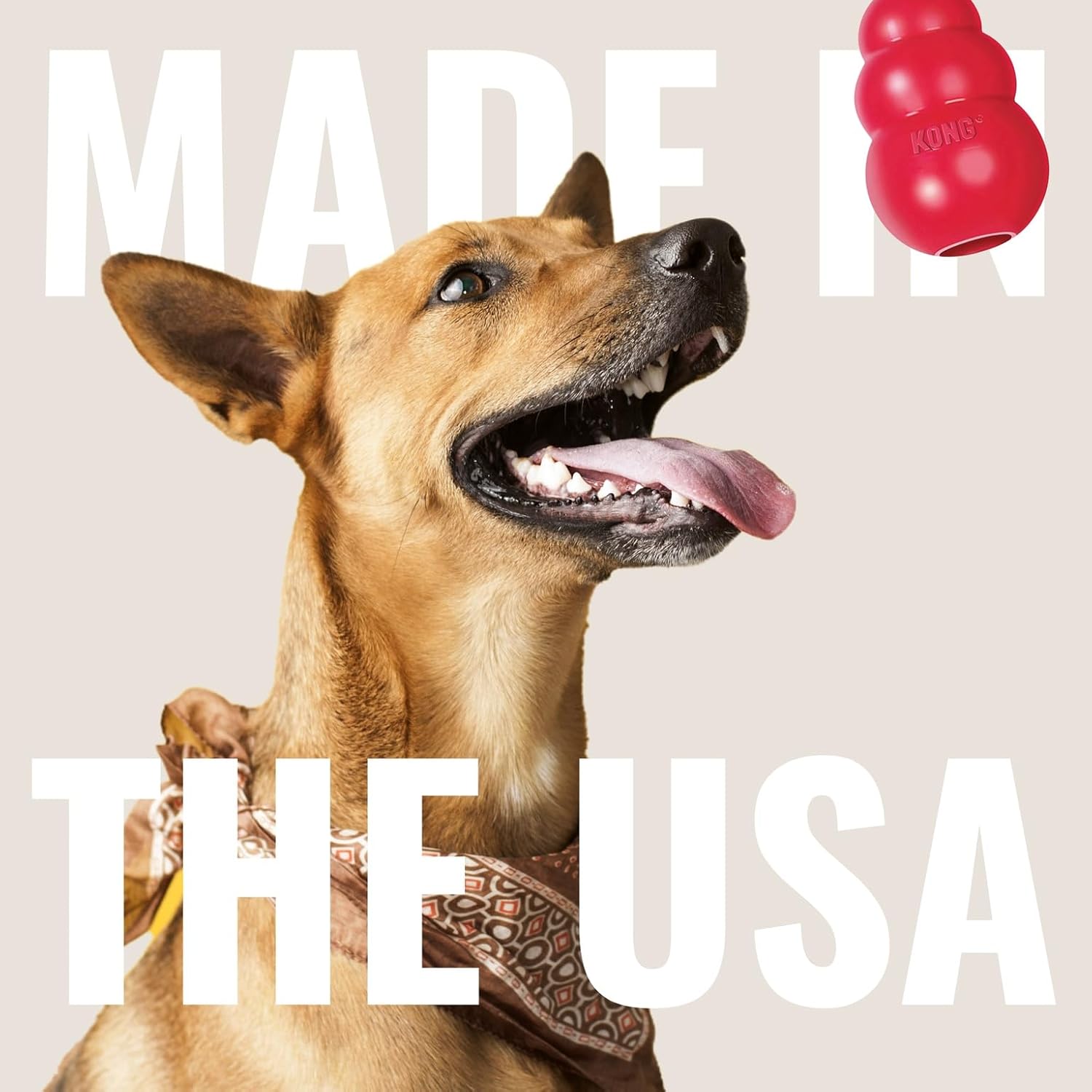 KONG Ring - Natural Rubber Ring Toy for Healthy Chewing Habits - Chew Toy Supports Dog Dental Health - Dog Toy Supports Instincts During Playtime - for Small/Medium Dogs - Image 6
