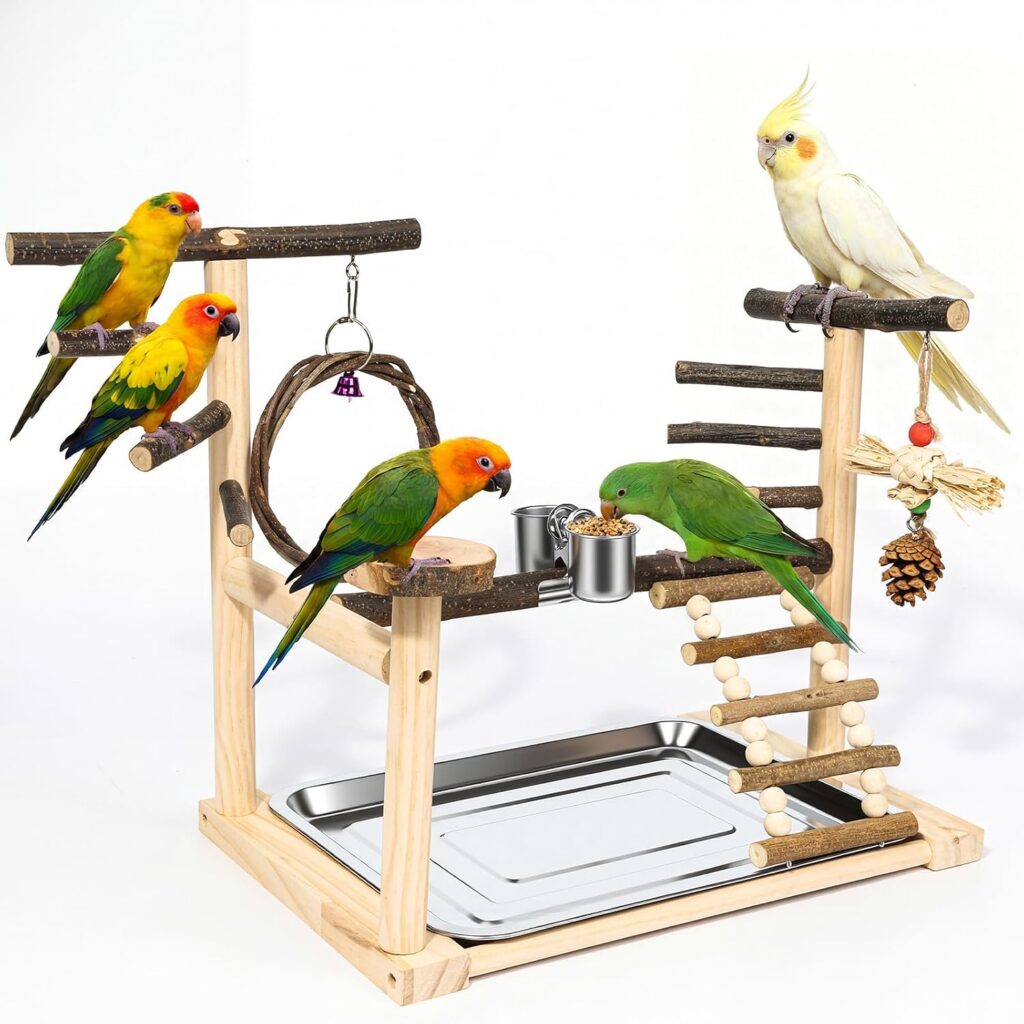 Bird Perches