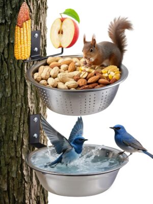 2 Pack 8.5″/1.4L Squirrel  ...