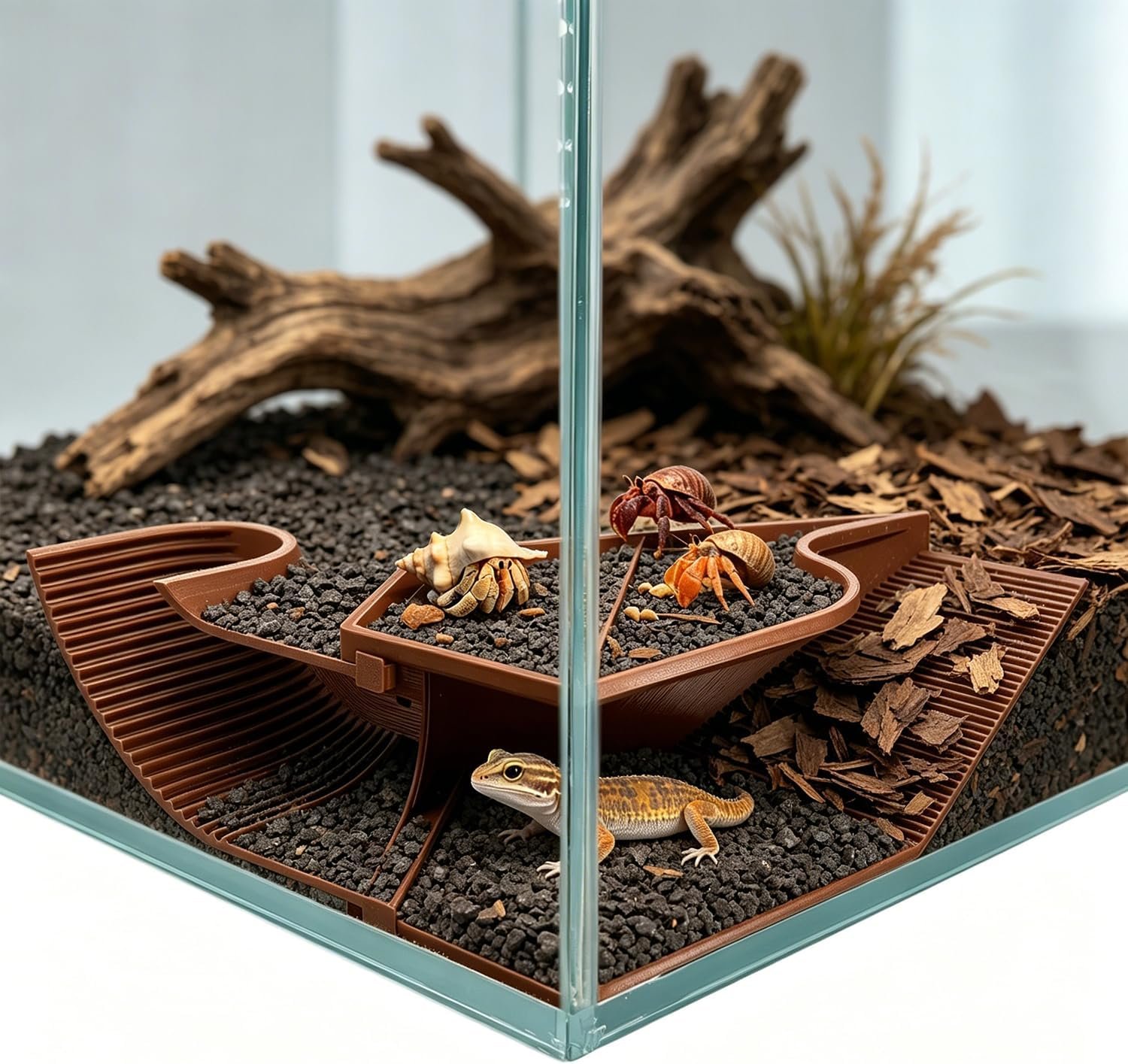 Hermit Crab Accessories Set – 3-i...