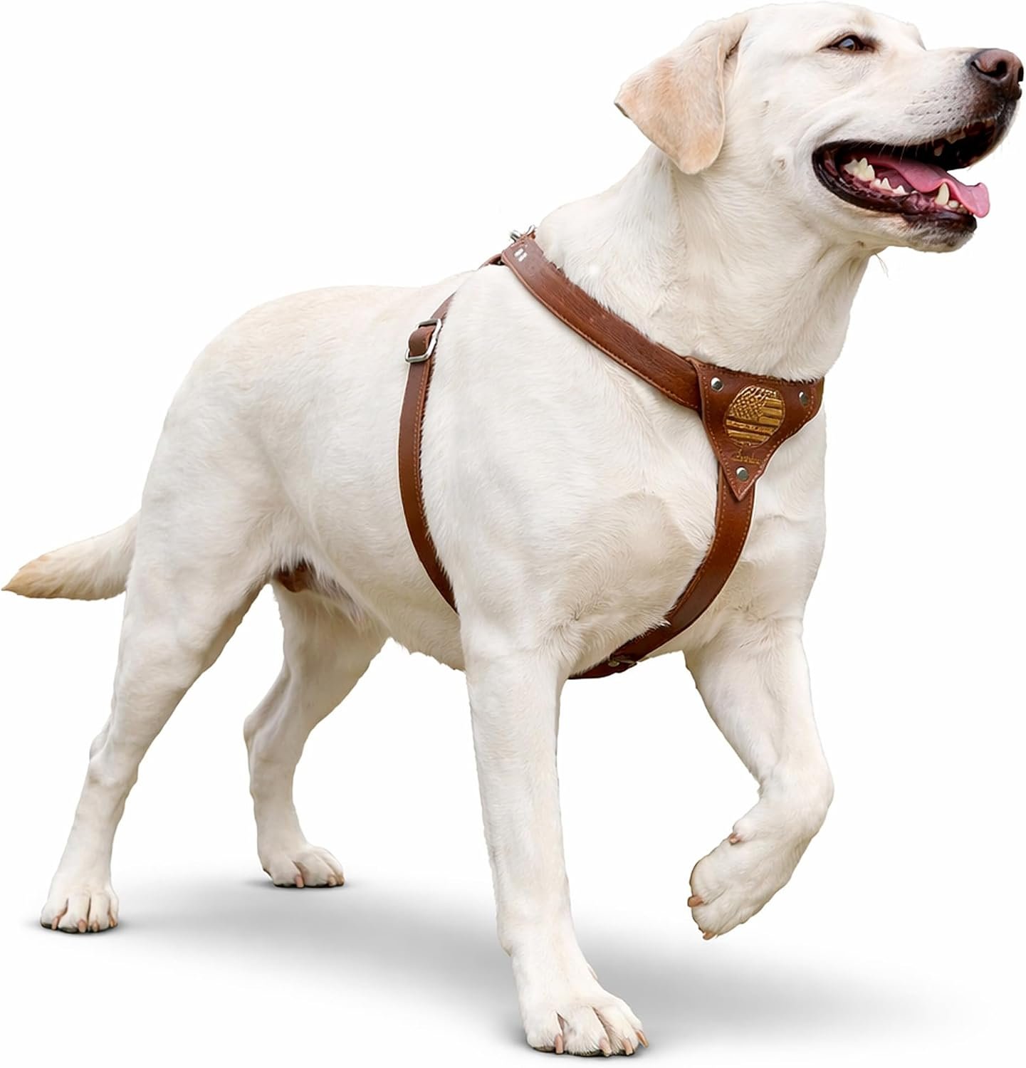 Genuine Leather Dog Harness – Adj...