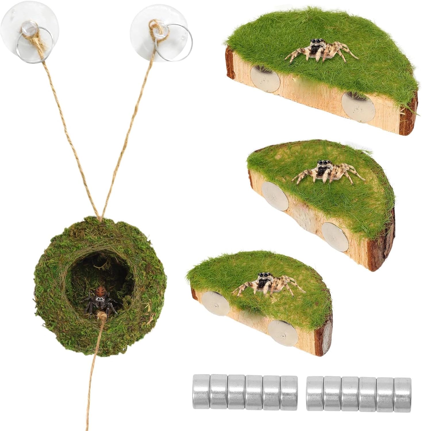 Jumping Spider Habitat Kit, Green Moss Hideout Cave and 3 Pcs Resting Feeding Platforms, Suction Cup Magnet Terrarium Decor for Jumping Spider Small Reptiles