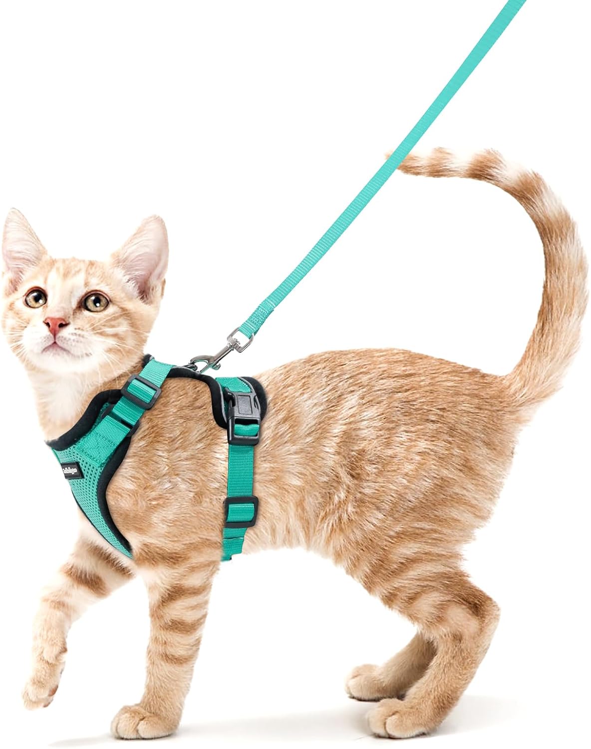 rabbitgoo Cat Harness and Leash Set, Escape Proof Vest, Emerald | Soft Breathable Mesh, Easy Adjustable Fit, Snap Buckles, Sturdy Clip, Reflective Strips, for Small & Average Cats Walks, Xs