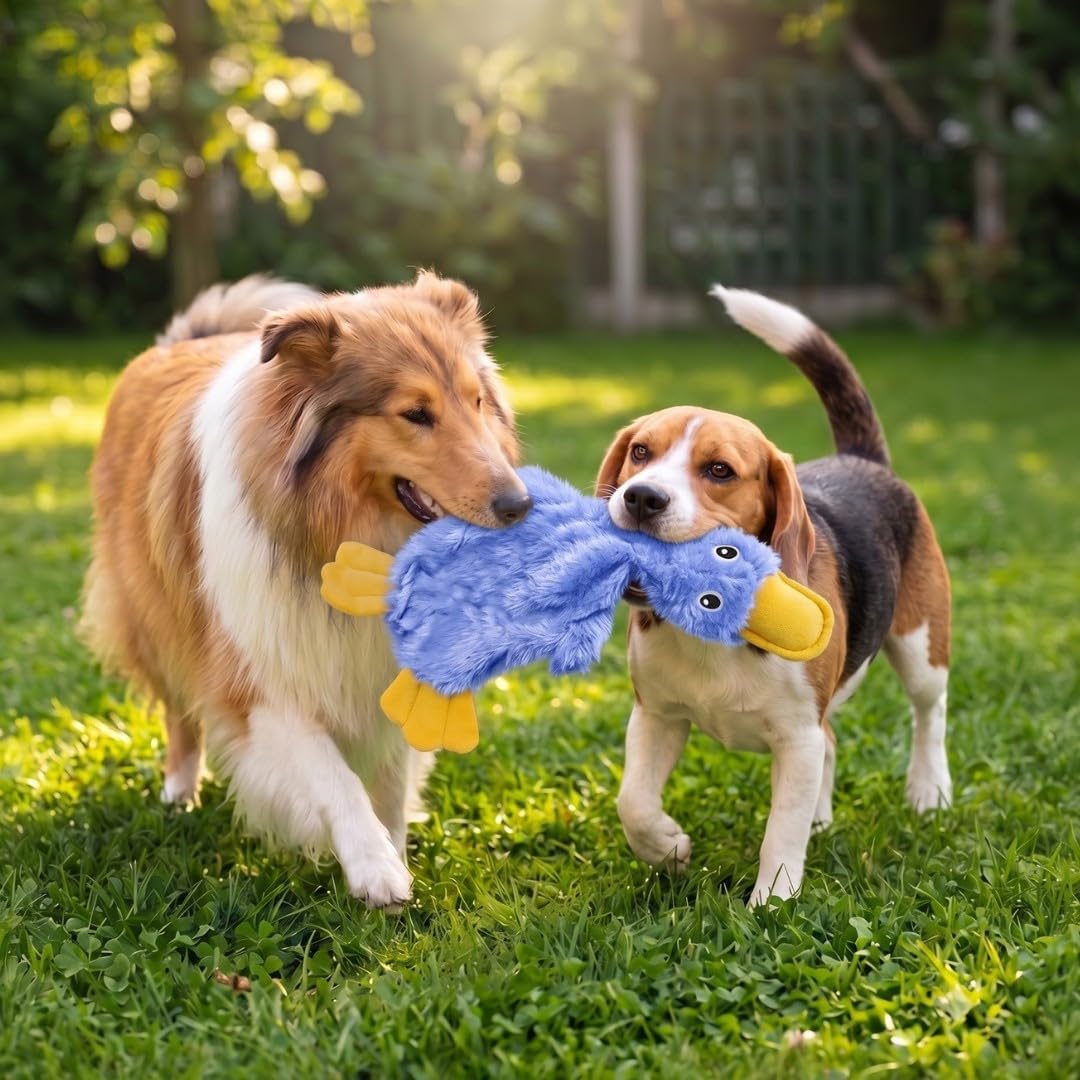 Best Pet Supplies Interactive Squeaky Dog Chew Toy, Ideal Dog Toys for Chewers, Small, Medium & Large Dogs, and Fetch Lovers - Crinkle Duck (Blue), Large - Image 2
