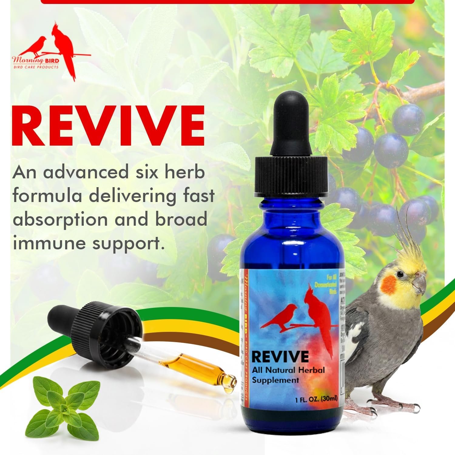 Morning Bird Revive 1 Fl Oz - Herbal Immune Support Extract for Birds | Supports Immune Response, Digestive Health, Energy & Overall Wellnes - Improved Liquid Formula for Faster Absorption - Image 2